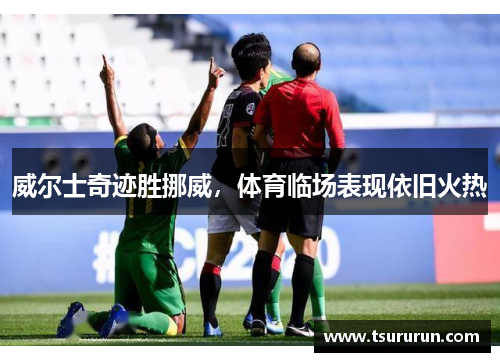 威尔士奇迹胜挪威，体育临场表现依旧火热